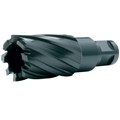 L20ABM49BM